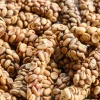 Kopi Luwak Arabica Coffee (Green Bean Coffee)